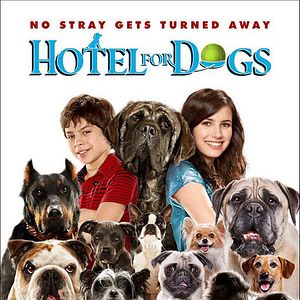 Fotoğraf Köpek Oteli