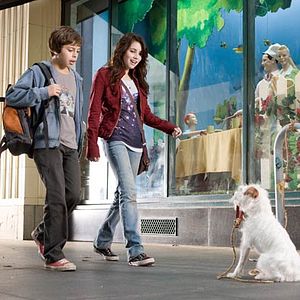 Fotoğraf Köpek Oteli