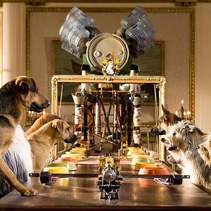 Fotoğraf Köpek Oteli