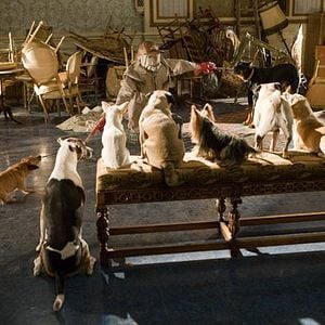 Fotoğraf Köpek Oteli