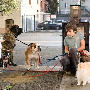 Fotoğraf Jake T. Austin