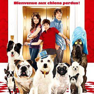 Fotoğraf Jake T. Austin