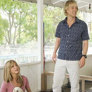 Fotoğraf David Frankel