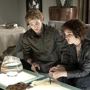 Fotoğraf Catherine Hardwicke