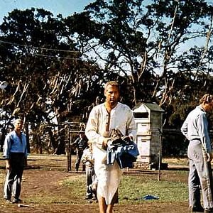 Fotoğraf Parmaklıklar Arasında