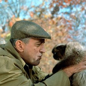 Fotoğraf Robert De Niro