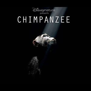 Fotoğraf Mark Linfield