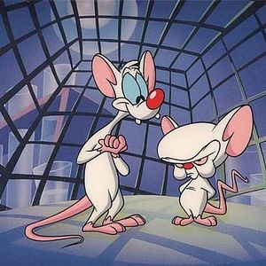 Fotoğraf Pinky and the Brain