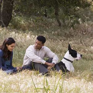 Fotoğraf Yedi Yaşam