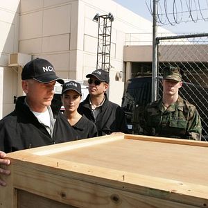 Fotoğraf Michael Weatherly