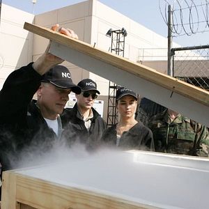 Fotoğraf Michael Weatherly