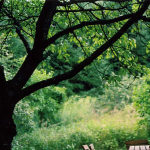 Fotoğraf Thomas Arslan