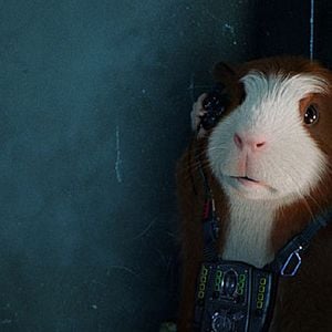 Fotoğraf Hoyt Yeatman