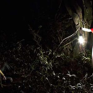 Fotoğraf Pil-Sung Yim