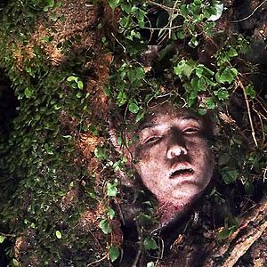 Fotoğraf Pil-Sung Yim