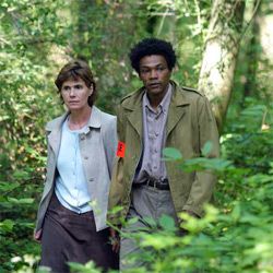 Fotoğraf Ambre a disparu