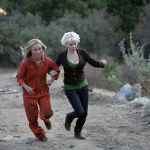 Fotoğraf Hayden Panettiere