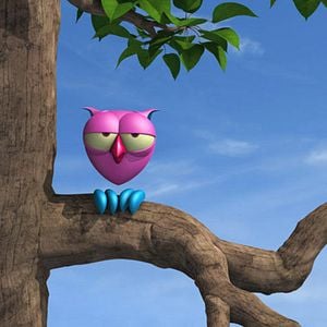 Fotoğraf La Chouette