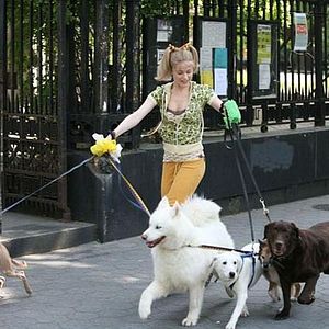 Fotoğraf Evan Rachel Wood