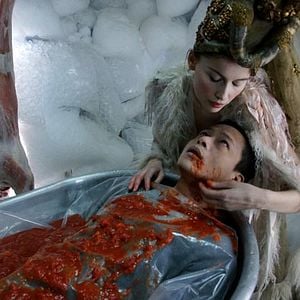 Fotoğraf Laetitia Casta