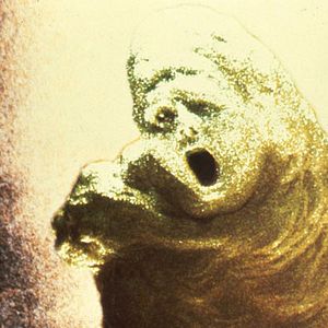 Fotoğraf Ken Russell