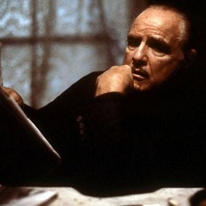 Fotoğraf The Freshman