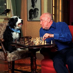 Fotoğraf Life as We Know It