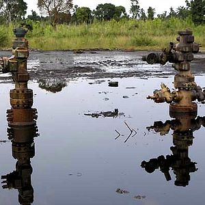 Fotoğraf Franny Armstrong