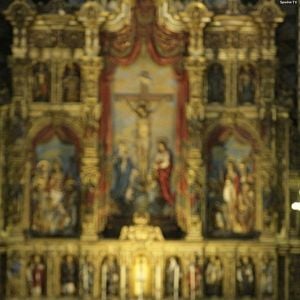 Fotoğraf Cristine Rose