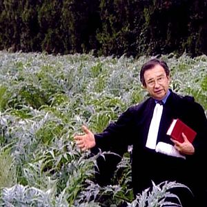 Fotoğraf Toplayıcılar