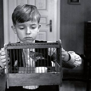 Fotoğraf Beyaz Bant