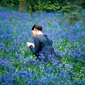 Fotoğraf Jane Campion