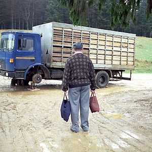 Fotoğraf Altın Çağdan Öyküler