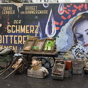 Fotoğraf Soysuzlar Çetesi