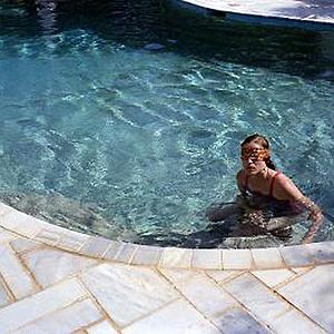 Fotoğraf Köpek Dişi