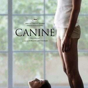 Fotoğraf Köpek Dişi