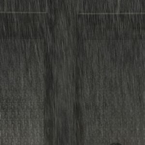 Fotoğraf Kim Saeron