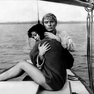 Fotoğraf Noz w wodzie