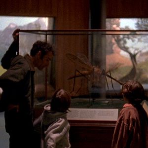 Fotoğraf Go Get Some Rosemary