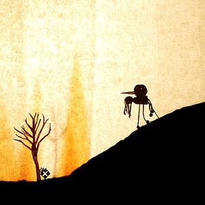 Fotoğraf Johannes Nyholm