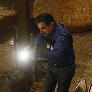 Fotoğraf Joe Mantegna
