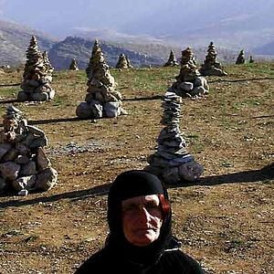 Fotoğraf Shahram Alidi