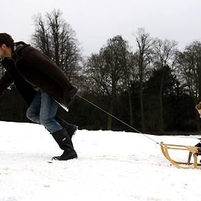 Fotoğraf Tom Shankland