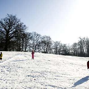 Fotoğraf Tom Shankland