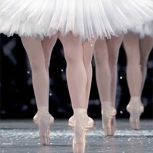 Fotoğraf Frederick Wiseman