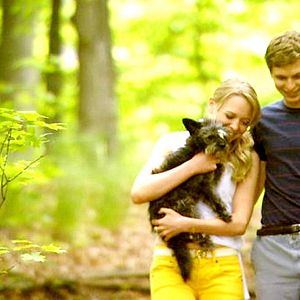 Fotoğraf Miguel Arteta