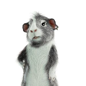 Fotoğraf Hoyt Yeatman