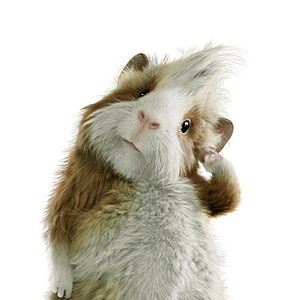 Fotoğraf Hoyt Yeatman