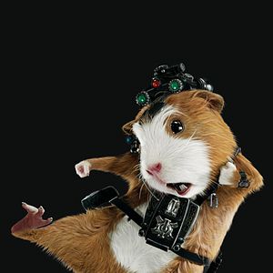 Fotoğraf Hoyt Yeatman