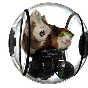 Fotoğraf Hoyt Yeatman